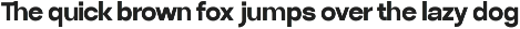 Ryecroft - Variable Sans Typeface preview