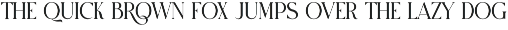 Caner Elegant Ligature Serif Font preview