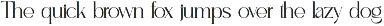 Maknito || Luxurious Serif Font preview