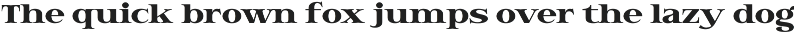 Hendry - Vintage Serif Family preview