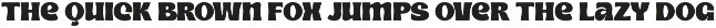 Sour Salty - Food Display Font preview