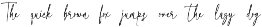 Honeycomb Signature Fonts preview