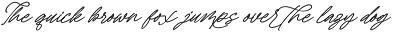 Arabella Rentharis Elegant Script preview
