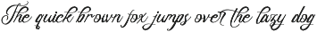 Delegatt Textured Elegant Script preview