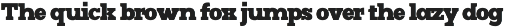 Mj.Marvel – Bold Serif preview