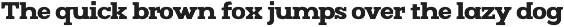 Mj.Marvel – Bold Serif preview