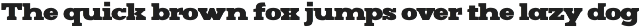 Mj.Marvel – Bold Serif preview
