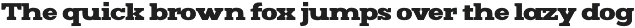 Mj.Marvel – Bold Serif preview