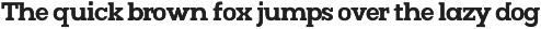 Mj.Marvel – Bold Serif preview