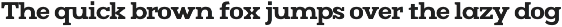 Mj.Marvel – Bold Serif preview