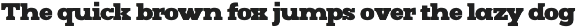 Mj.Marvel – Bold Serif preview