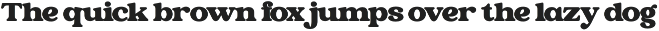 Newsford - Elegant Retro Serif Font preview