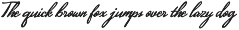 Hidden Coast – Retro Surf Font Duo preview