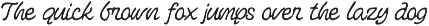 Festoon Lagoona Script and Sans preview