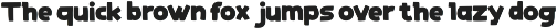 Camu Sicavest - Chunky Display Font preview