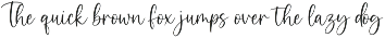 Avelyna – Elegant Handwritten Script preview