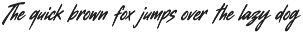 Callamite Combo Dynamic Duo Typeface preview