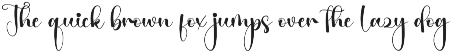 Father | Script Font preview