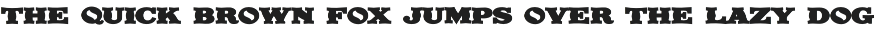 BOLD WEST - DISPLAY FONT preview