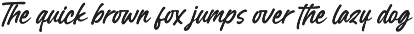 Borthans Modern Handwritten Font preview