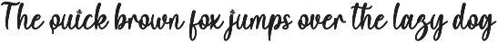 Christmas Font Bundle preview