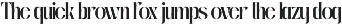 Roave - Modern Elegant Serif Font preview
