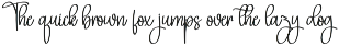 American Signature | Script Font preview