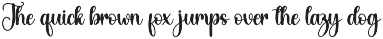Newyork | Script Font preview