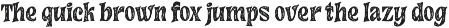 Mollivan – Serif Font preview