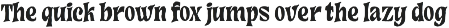Mollivan – Serif Font preview