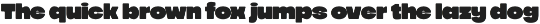 Grovio - Bold Dsiplay Font preview