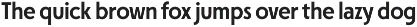 FERNOA - Dramatic Sans Serif Family preview