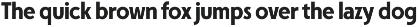 FERNOA - Dramatic Sans Serif Family preview