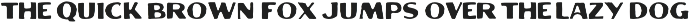 Alton - Terrestrial Typefaces preview