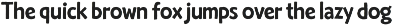 Ricket - Handdrawn font duo preview