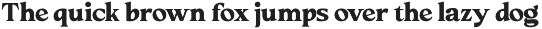 Cadera Serif | 162 Font Files preview