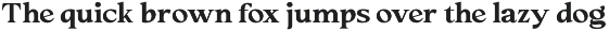 Cadera Serif | 162 Font Files preview