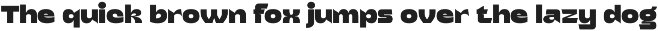 Mira Venn Chunky Sans preview
