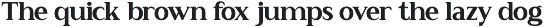 NV NERIVO – Modern Serif Font preview