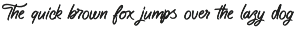 Typeful - Handwritten Script Font preview