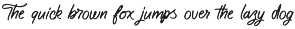Typeful - Handwritten Script Font preview