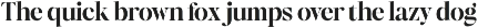 Augler - Editorial Serif Family preview
