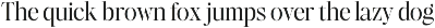 Augler - Editorial Serif Family preview