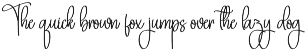 Baby Anything | Script Font preview