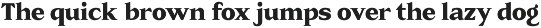 Rainvolt Classic Letterforms preview