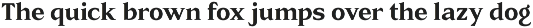 Rainvolt Classic Letterforms preview