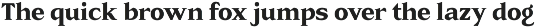 Rainvolt Classic Letterforms preview