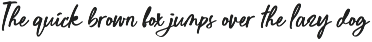 Coastal Lovebirds - Handdrawn Script preview
