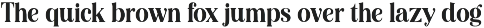 Editorial Revival Serif (70 fonts) preview