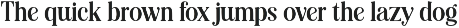Editorial Revival Serif (70 fonts) preview